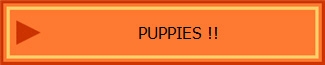 PUPPIES !!