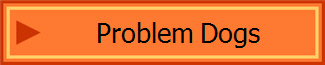 CLUB WEBSITE