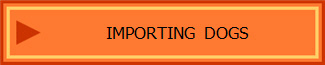 IMPORTING  DOGS